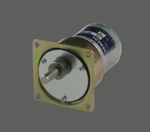 GM43SS528 3000 Rpm do 6000 Rpm mikro Dc Motor za uredske opreme ili automatskog zatvarača