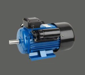 230V Pumpa AC Motor