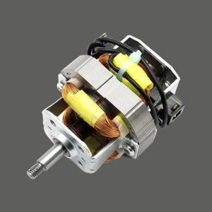 AC motor blendera