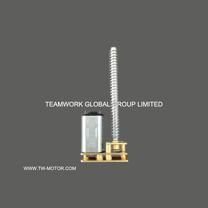 Special Door Lock Gear Motor