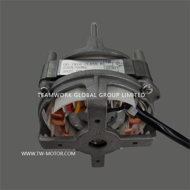 Fan Motor Without A Gear Motor.