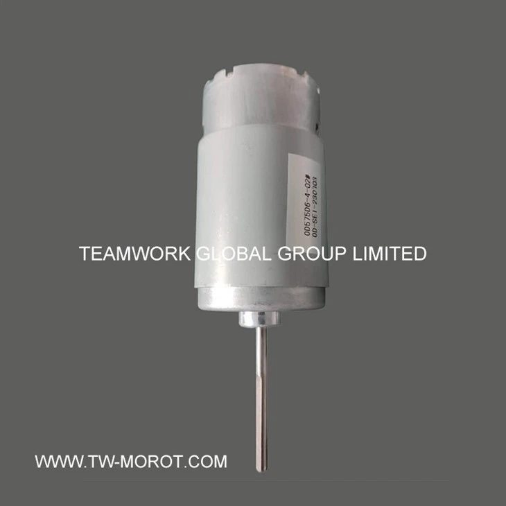 Electric Hair Curler Motor