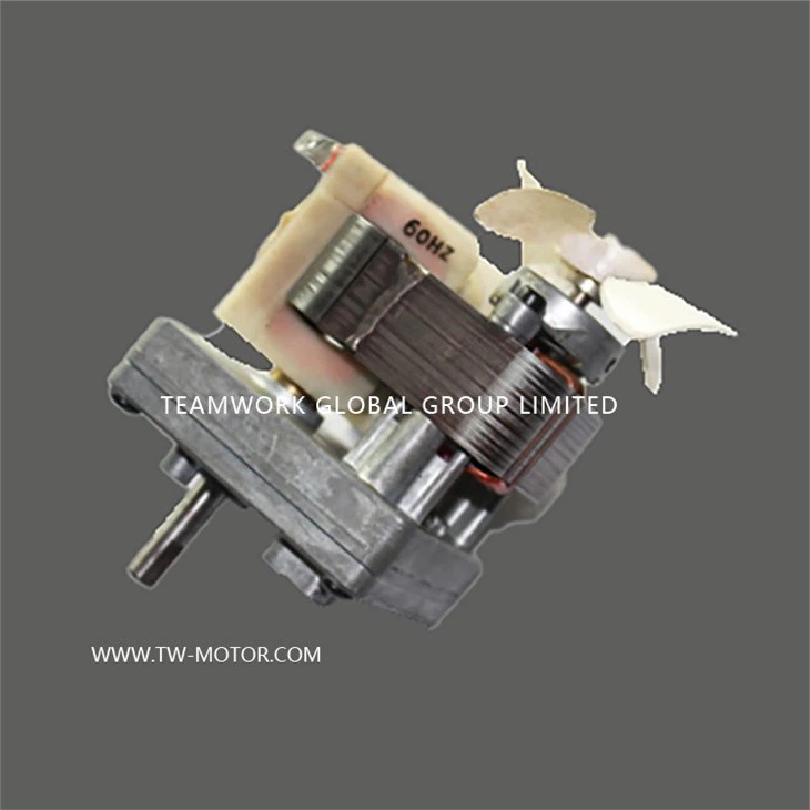 Electric Oven Asynchronous Motor