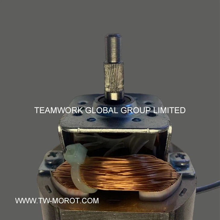 High-Power Hair Dryer Motor
