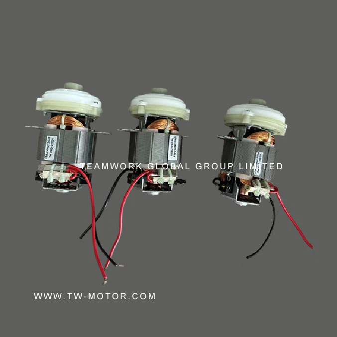 Professional Juicer Motor